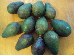 Ripe Avocados