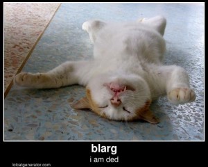 lolcat-tired