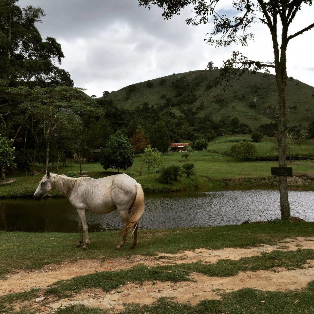 Source Temple in Brazil